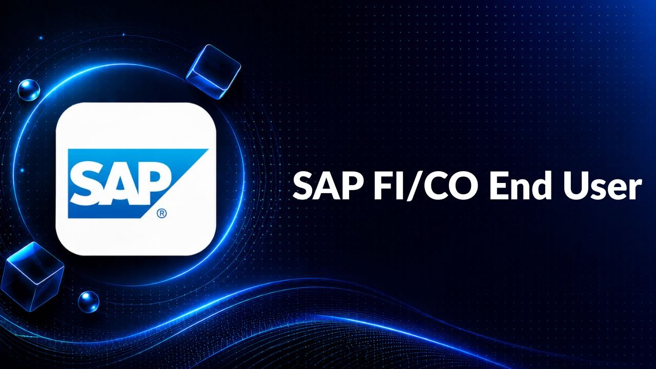 SAP FI/CO End User Operations